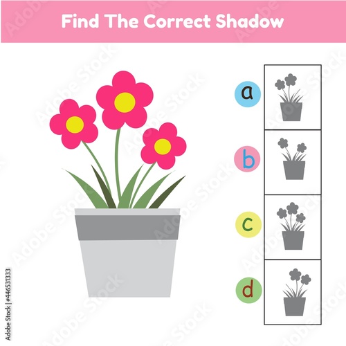 Find the correct shadow flower. Game For Kids