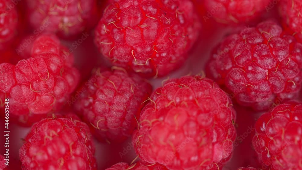 Fresh and juicy raspberry background. Fresh delicious red raspberries. Rotation.