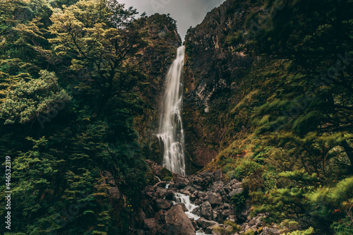 Forest Waterfall