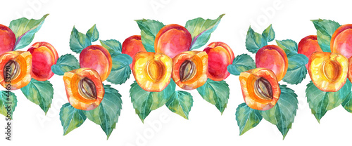 Seamless border watercolor composition apricot with green leaves. Red, yellow, orange hand-drawn fruit isolated on white background. Sweet dessert summer food. Clip art for menu, wrapping, invite