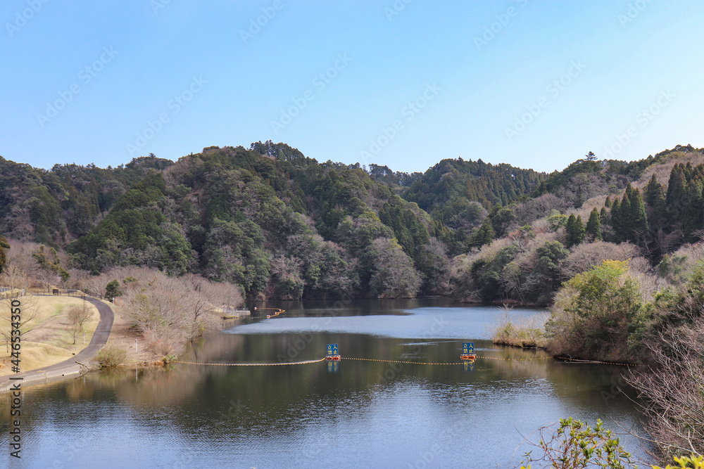 Fototapeta premium 笹川湖（千葉県君津市）