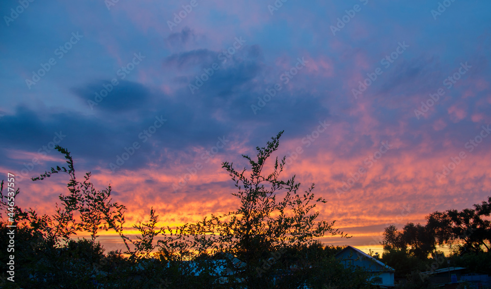 The sky is in pink, blue and orange. Evening came in the village. Colored clouds float above the ground. A natural, natural phenomenon in the sky.