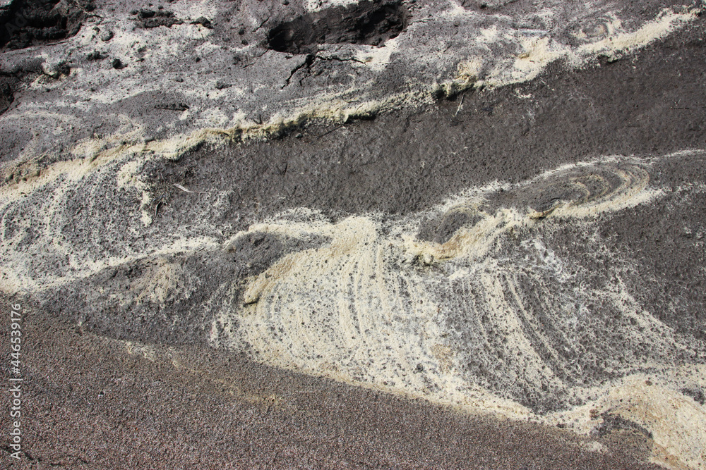 yellow streaks of small algae seeds on wet sand
