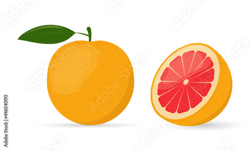 Bright juicy grapefruit with leaf whole and cut isolated on white background. Vector illustration