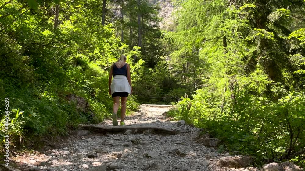 Low angle slow motion of Caucasian young hiker girl hiking up rocky mountain path in Austria during sunny day. Surrounded by green forest fir trees in sunlight. Low angle slow motion of Caucasian young hiker girl hiking up rocky mountain path in Austria during sunny day. Surrounded by green forest fir trees in sunlight.