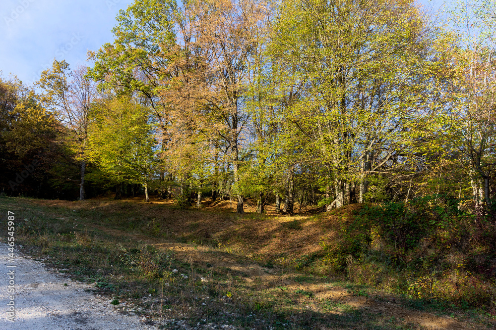 Panoramic views from mountain routes on an autumn sunny day, walking and communicating with nature. Panoramic views from mountain routes on an autumn sunny day, walking and communicating with nature.
