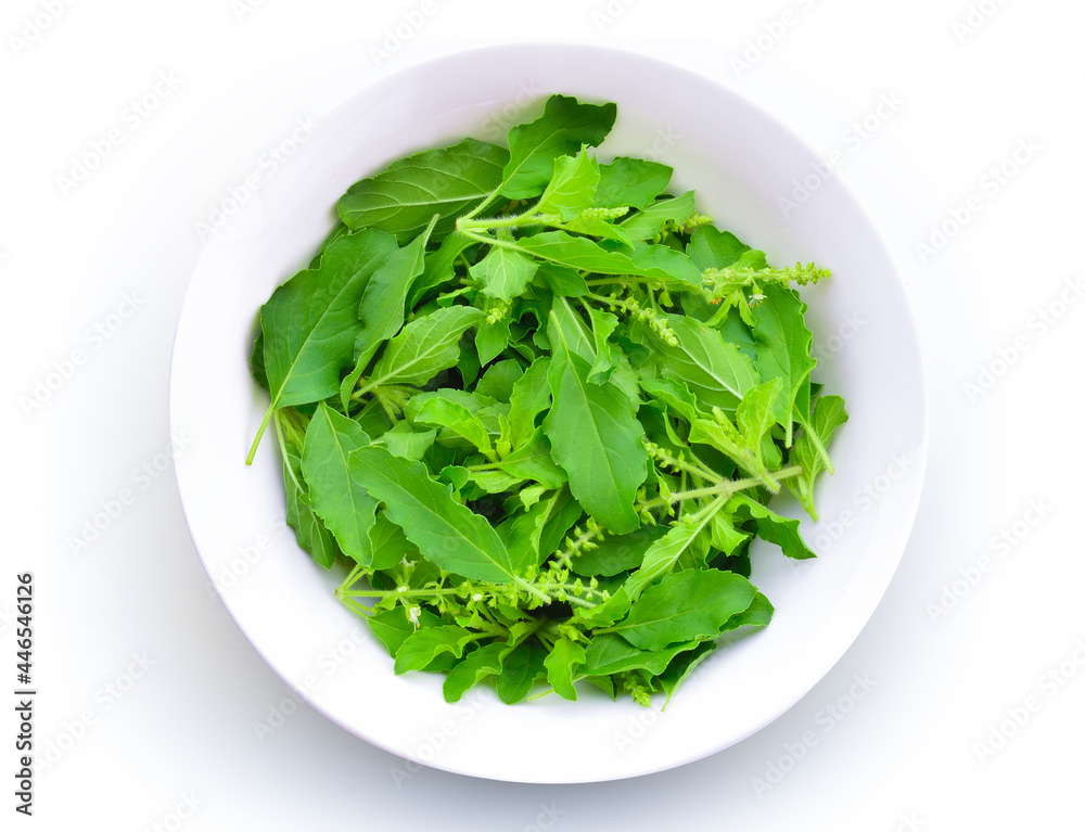 Basil flower on white background. Basil flower on white background.