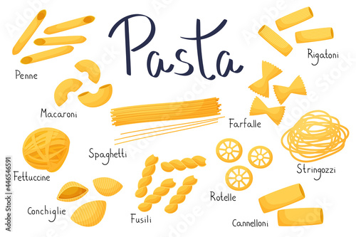 Set of Italian pasta in cartoon style. Types of pastes with names. Vector illustration isolated on white background. Traditional cuisine.
 photo