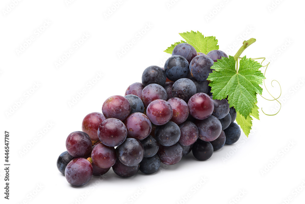 Black grape cluster with leaves isolated on white background. Black grape cluster with leaves isolated on white background.