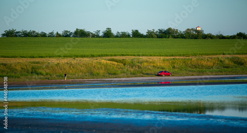 Landscape panorama with a red car on the bank of the lake and a man walking straight to it. Lake in the foreground, glistening water and reeds. Summer sunset. A chain of trees and a green grassy hill 