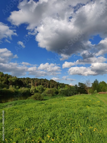 summer green landscape with sky and clouds