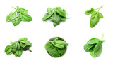Fresh healthy spinach on white background