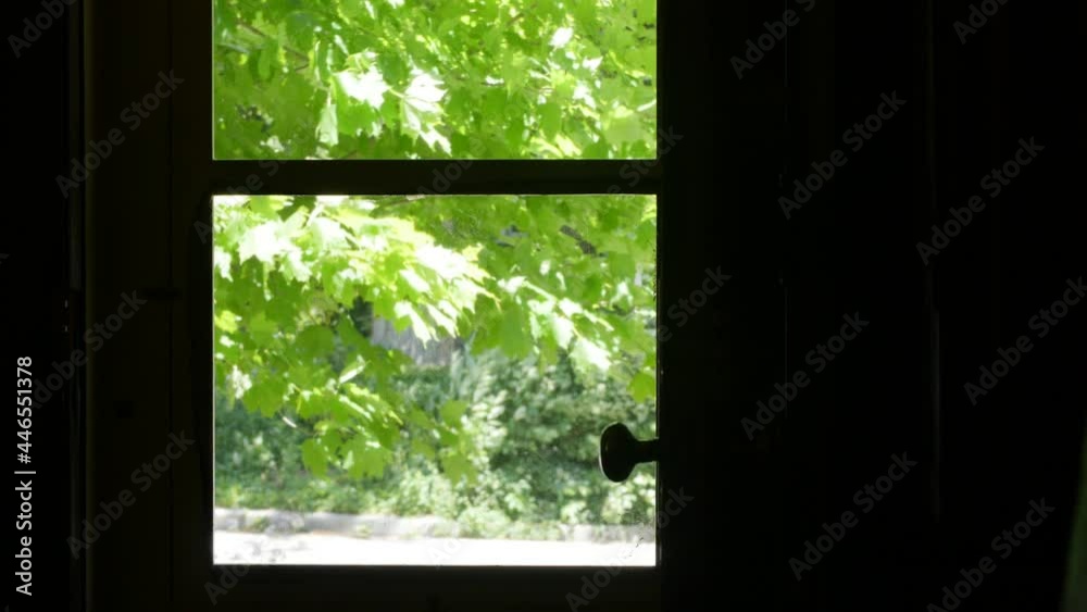 Trees rustling by summer wind under the blue sky through a window screen and wooden frame Trees rustling by summer wind under the blue sky through a window screen and wooden frame