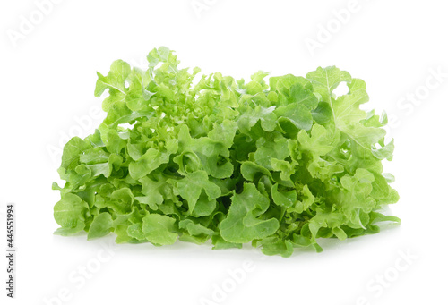 lettuce leaves isolated on white background