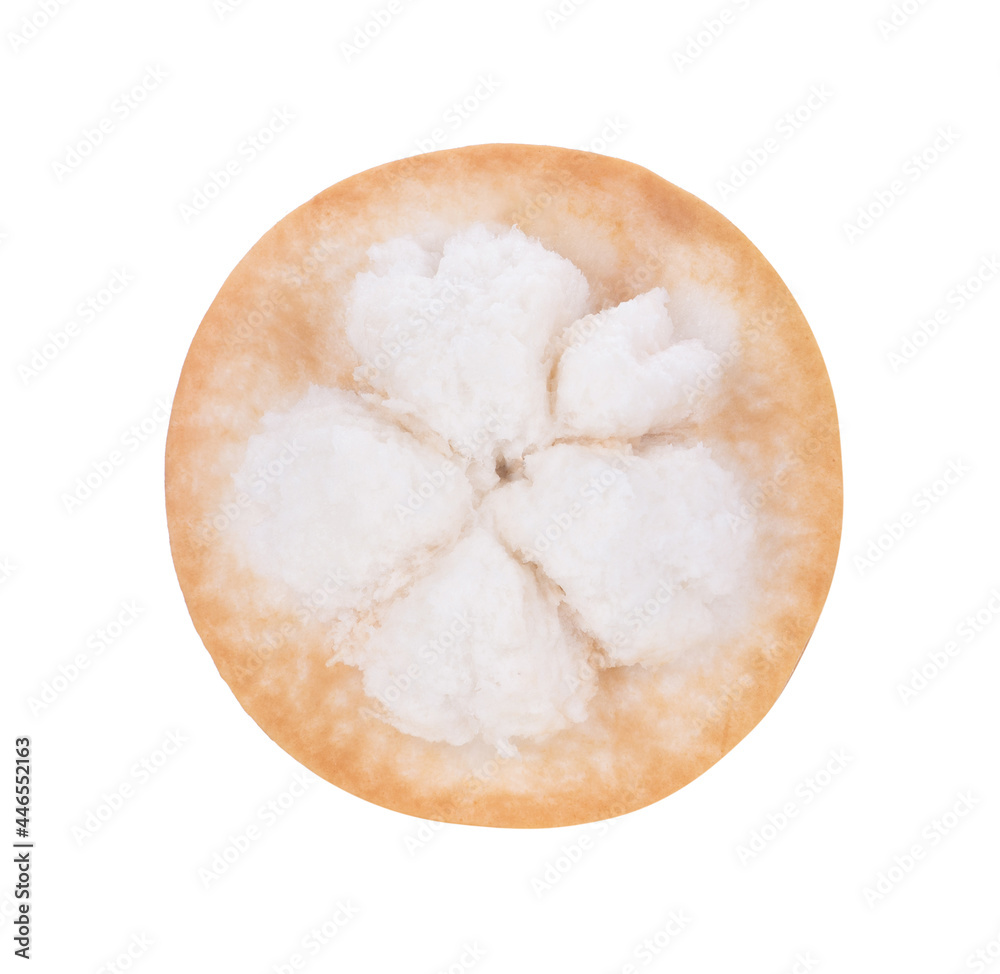 santol fruit isolated on white background santol fruit isolated on white background