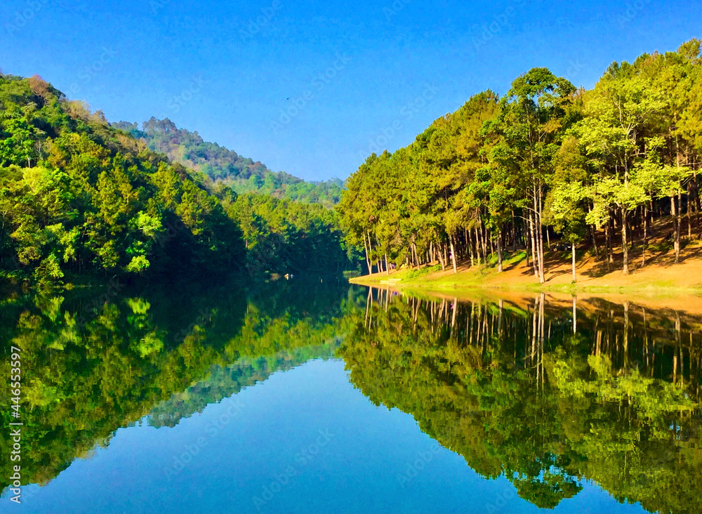 Fototapeta premium lake in the forest