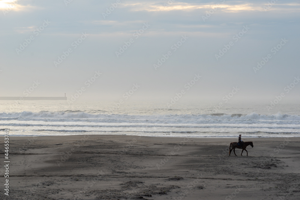 霧中の海と乗馬