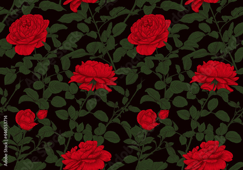 Floral vintage seamless pattern with red roses on dark background. Flowering ornament . Botanical illustration, hand-drawn in vector. Colorful.