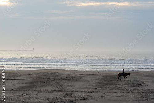 霧中の海と乗馬