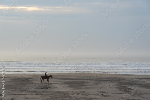 霧中の海と乗馬