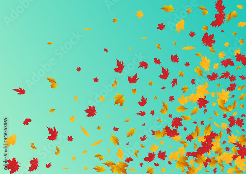 Colorful Leaves Vector Blue Background. Seasonal
