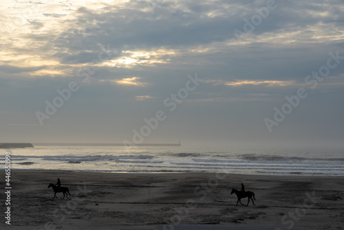 霧中の海と乗馬