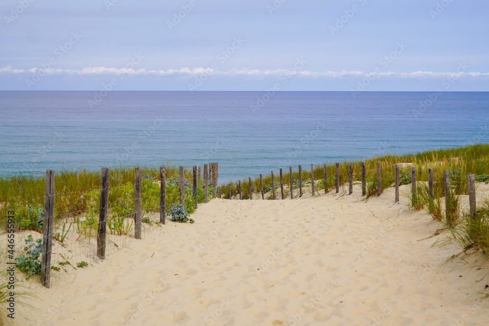 Coast access sandy sea patway fence to ocean beach atlantic coast at Cap-Ferret in France