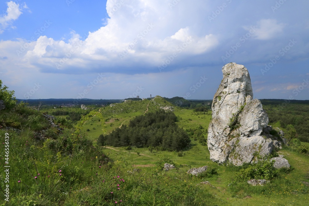 Landscape of Krakow-Czestochowa Upland (Polish Jura) with Olsztyn Castle, Poland