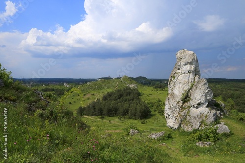 Landscape of Krakow-Czestochowa Upland  Polish Jura  with Olsztyn Castle  Poland