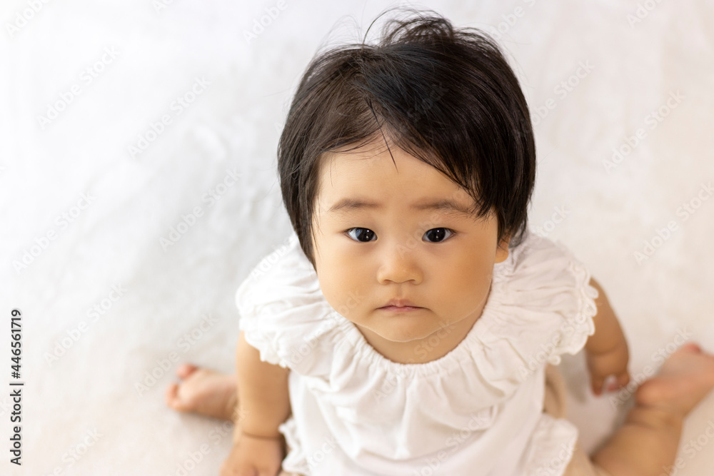 絨毯に座って 見上げる赤ちゃん 1歳 日本人 女の子 Stock Photo Adobe Stock