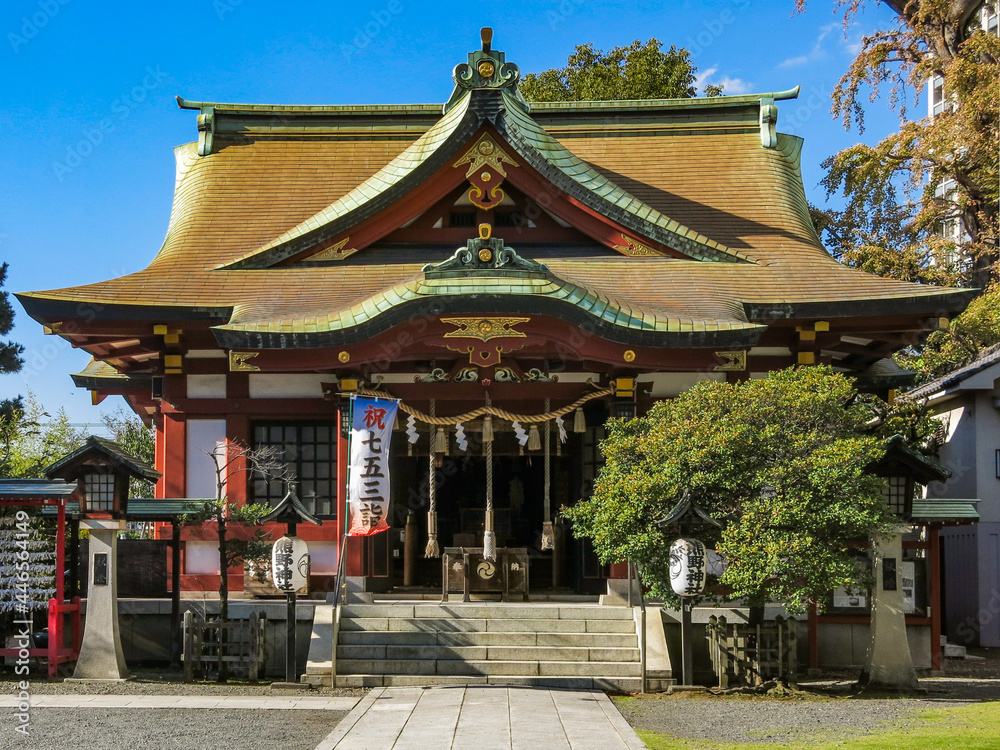 晴れた日の熊野神社(横浜市神奈川区)