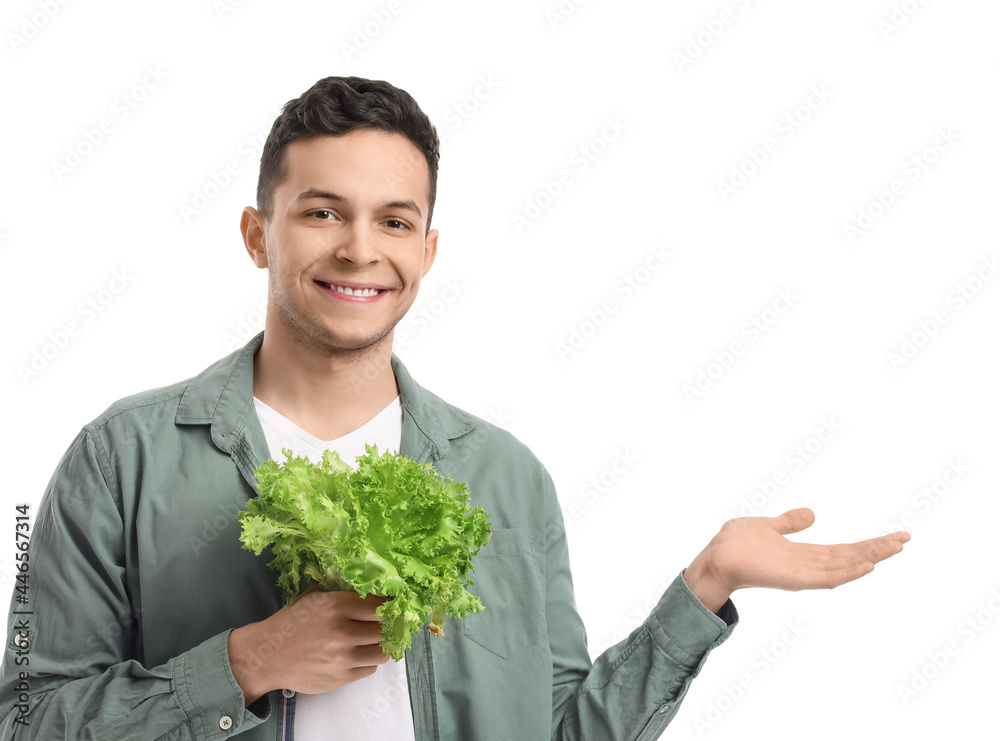 Young man with fresh lettuce showing something on white background Young man with fresh lettuce showing something on white background