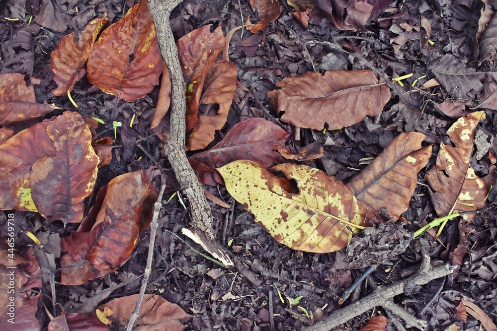 Know nature closely Know nature closely