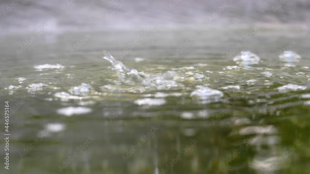 Water on the water drops Falling from Fresh green Leaf green background
Water on the water drops Falling from Fresh green Leaf green background
