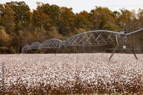 Pivot Irrigation System Cottonfield North Carolina NC USA