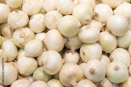 White onion bulbs background. Fresh vitamin vegetables.