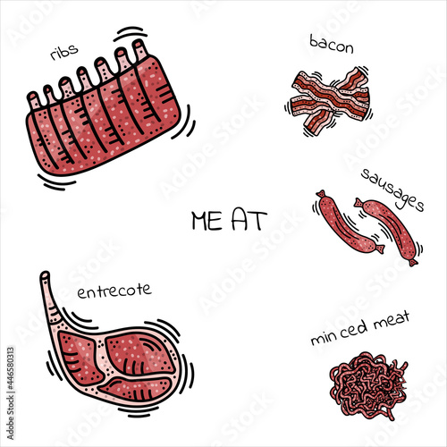 Set entrecote, steak, meat with bone, minced meat, bacon. Farm fresh meat, shoulder chops, lamb, beef, pork, ham. Vector sketch, doodle, cartoon illustration