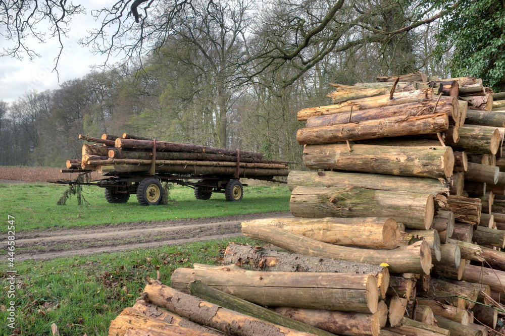 Langholztwagen am Waldrand