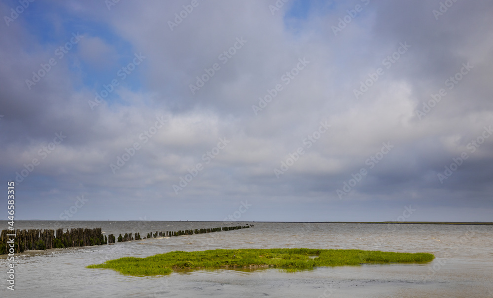 Waddenzee coast Moddergat Paesens Friesland Netherlands. Unesco world heritage.