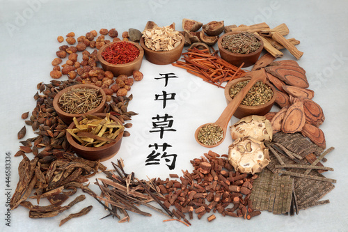 Traditional Chinese herbal medicine selection with dried herbs and calligraphy script on rice paper. Health care concept. Translation reads as dried chinese herbs.   photo