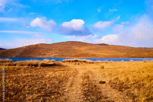 Nature landscape with golden field, wather, hills and blue sky with white clouds in a day or a evening photo