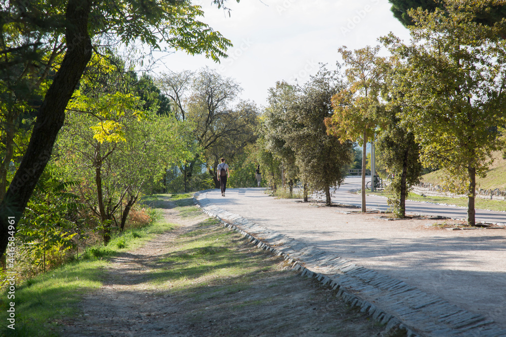 Path in Dehesa de la Villa Park; Madrid