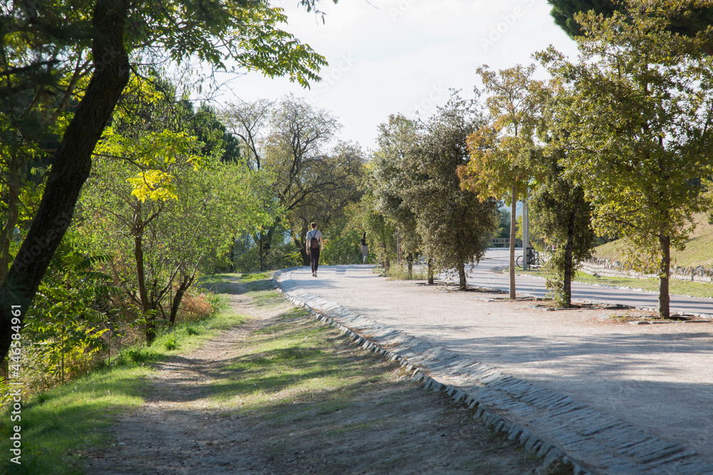 Fototapeta premium Path in Dehesa de la Villa Park; Madrid