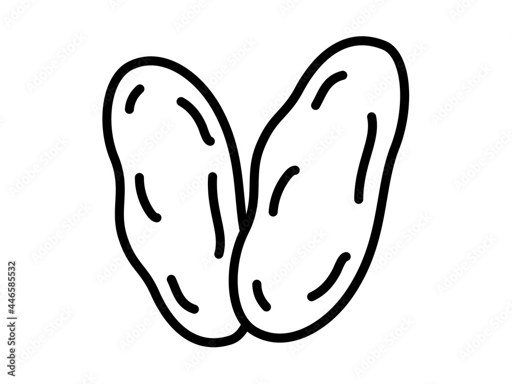 palm date single isolated icon with outline style palm date single isolated icon with outline style