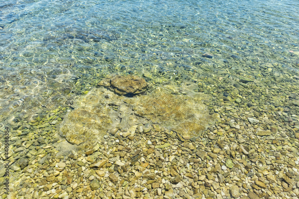 Magnificent, shallow sea at the shore of Rogoznica, small fishing town in central Dalmatia, Croatia, with stones and rocks underneath clear water surface