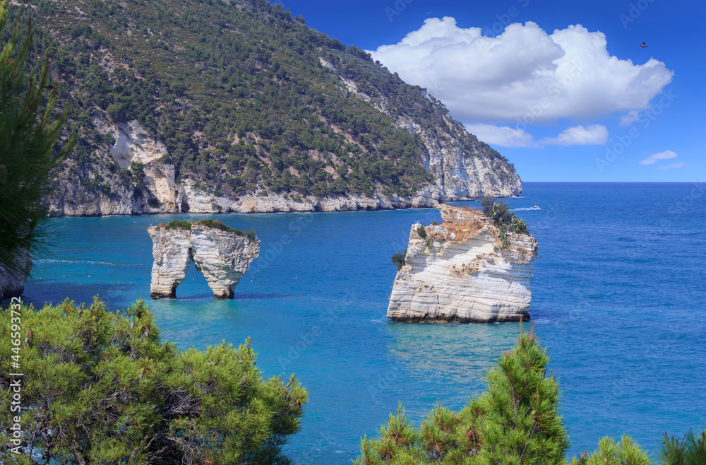 The most beautiful coasts of Italy: Zagare Bay in Apulia. Two sea stacks come out amid the green emerald shades of the sea, not far away from the shore located in the southern coast of Gargano.