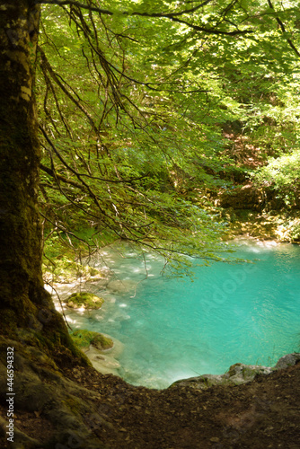 blue river water in a forest