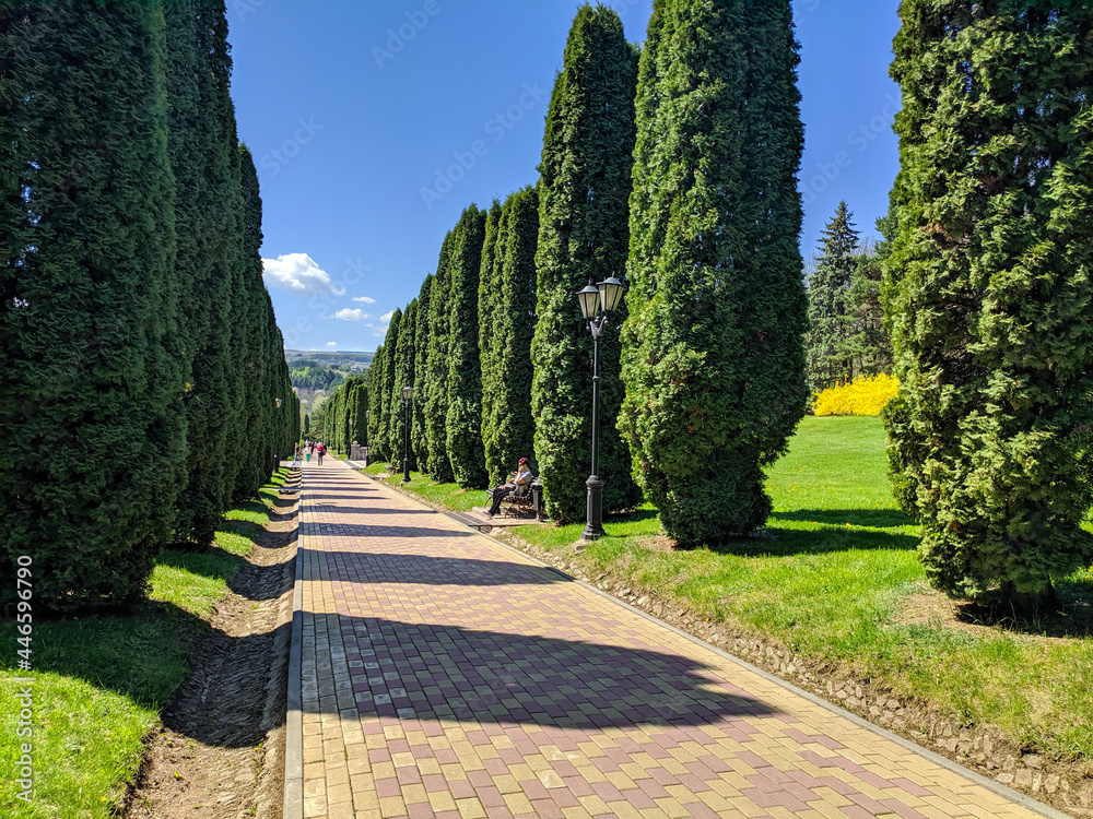 Kislovodsk, Russia - May 1, 2021: People walk in the large Kislovodsk National Park. People walk along a long green cypress alley on a tile sidewalk against a blue sky.