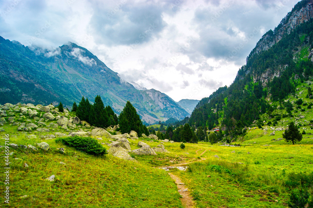 Path through a green and mountainous landscape with pines in the high Pyrenees.
