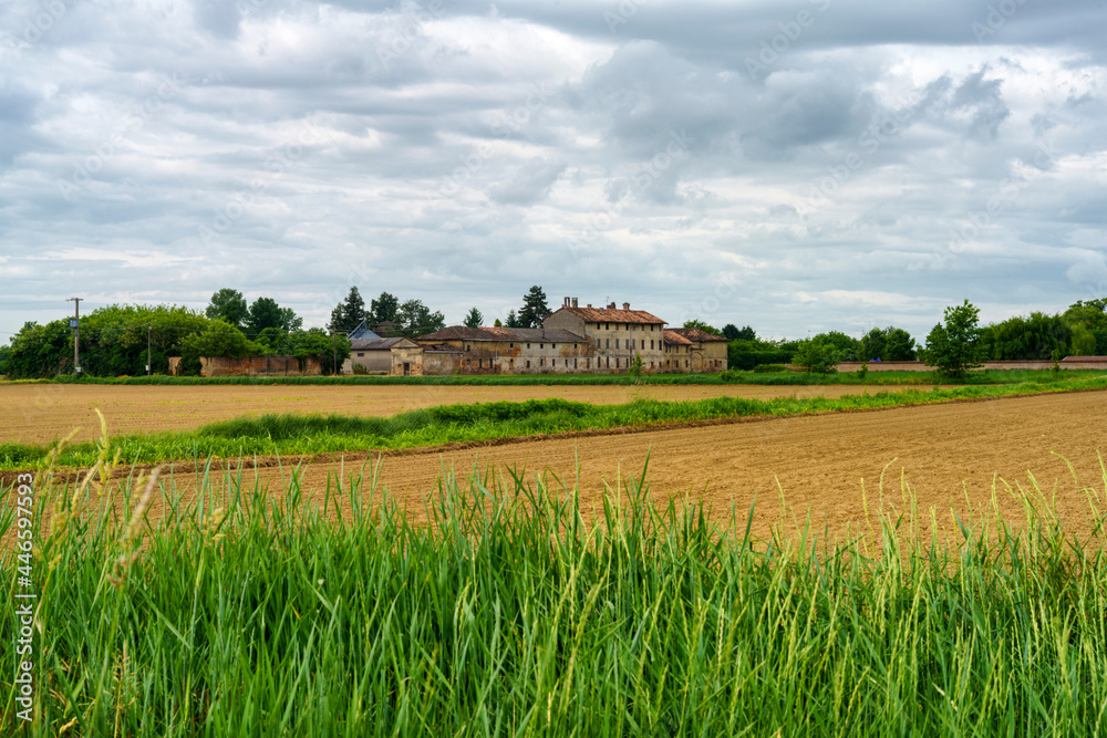 Rural landscape near Certosa di Pavia, Italy Rural landscape near Certosa di Pavia, Italy